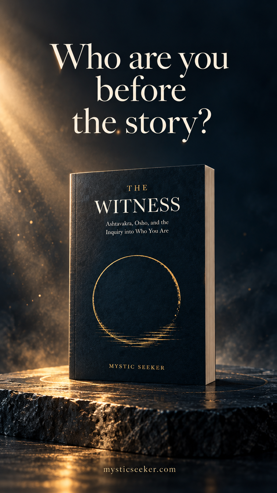 The Witness paperback, with a midnight blue cover and gold circle, beneath the question Who are you before the story?